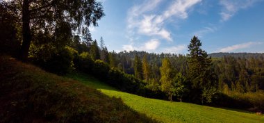 Parkın güzel manzarası