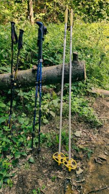 Ormanda yürüyüş ekipmanları