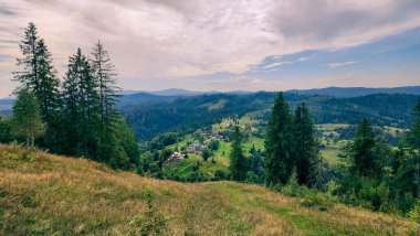 Güzel yaz dağ manzarası. Önünde yeşil çimenler ve orman var.