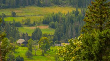 Dağ manzarasının güzel bir görüntüsü.
