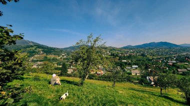 Köyde dağ köyü olan güzel bir manzara.