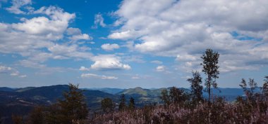 Dağların güzel manzarası