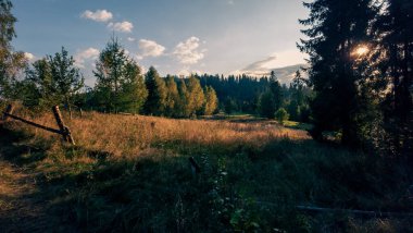 Dağlardaki yeşil ormanın üzerinde gün batımı. güzel doğa