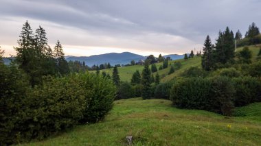 Yaz aylarında Karpat Dağları