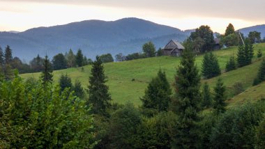 Karpat Dağları. Bir dağ köyü olan sonbahar ormanı.