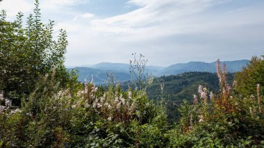Doğanın güzel manzarası