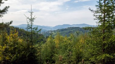 güzel yaz dağ manzarası