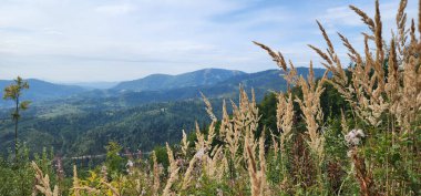 Dağların güzel manzarası