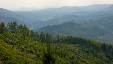 Güzel dağ ormanı manzarası. Doğa, seyahat