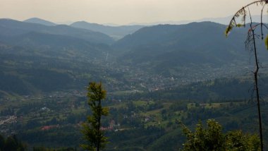 Ağaçlı güzel dağ manzarası