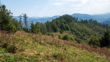 Karpatlar 'da dağ sırası olan güzel bir yaz manzarası.