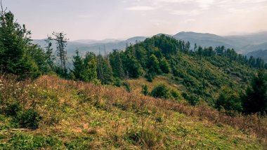 Yaz aylarında Karpat Dağları