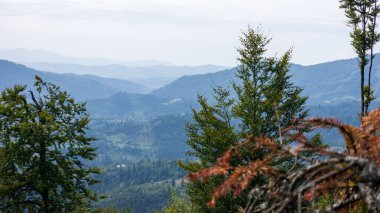 Alman dağlarında sonbahar.