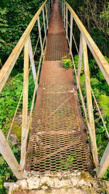 Ormanda tahta köprü