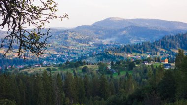Karpatlar 'ın dağlarının güzel manzarası