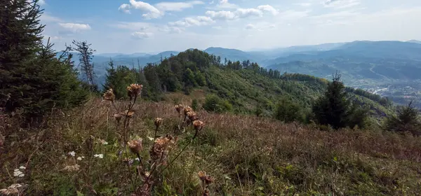 Yaz mevsiminde Koboska köyünün dağından manzara