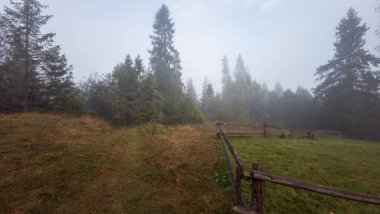 Karpat dağlarında sonbahar