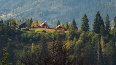 Karpatlar 'da sonbahar manzarası