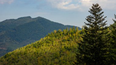 Dağlı güzel bir manzara.