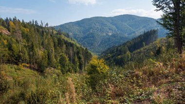 Karpat dağlarının sonbahar manzarası