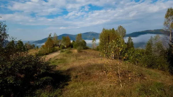 Karpatların dağlarında sonbahar.