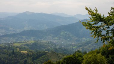 Yazın Karpat Dağları