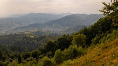 Yaz aylarında Karpatdağları.