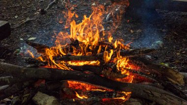 Ormanda yanan kamp ateşi, yakın.