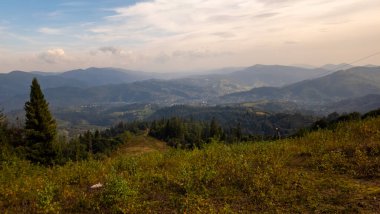 Yaz mevsiminde Karpat Dağları, ormanlı güzel manzaralar