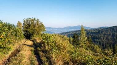 Dağ manzarası. Karpatlar, Ukrayna.