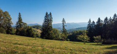 Yeşil dağ vadisi olan yaz manzarası.