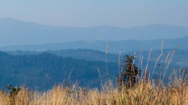 Güzel dağ manzarası, Karpat Dağları, Romanya