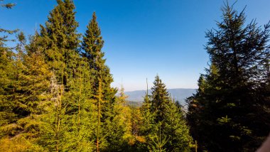 Karpat Dağları 'ndaki sonbahar manzarası