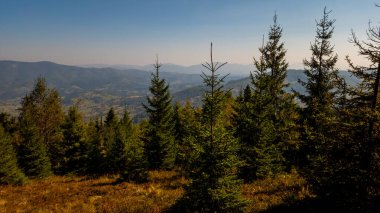 beautiful autumn landscape in mountains