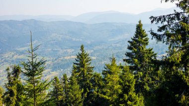 Dağın zirvesinden manzara.