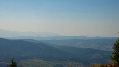 bir ağaç dağ manzarası