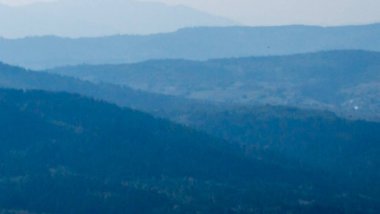 Ağacı ve dağı olan güzel bir manzara.