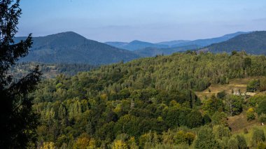 Karpat dağlarında sonbahar.