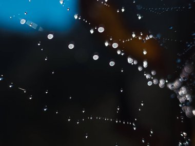 Karanlık bir arka planda örümcek ağındaki çiy damlaları