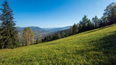 Karpat dağlarının güzel yaz manzarası, Ukrayna