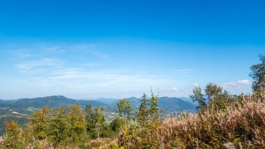 Renkli ağaçlar ve ormanlarla dolu güzel sonbahar manzarası