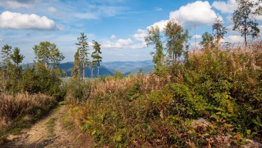 Önünde ağaçlar ve ormanlar olan güzel dağ manzarası