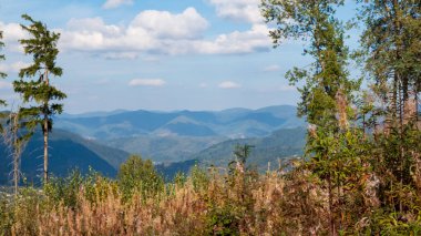 Mavi gökyüzü ve orman ile güzel dağ manzarası
