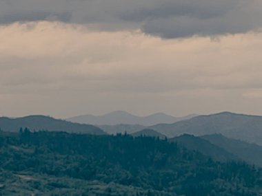 Dağlarda güzel bir orman manzarası