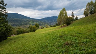 Sonbaharda Karpat Dağları 'nda yeşil çimen ve dağların güzel manzarası