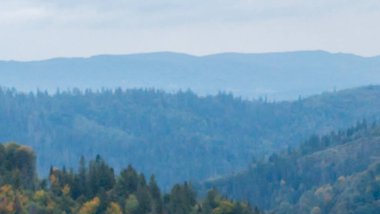 Karpat Dağları manzarası, Ukrayna