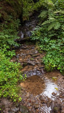 Dağlardaki şelale, Karpat Dağları, Ukrayna