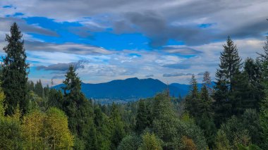 Arkasında bir dağ olan güzel bir manzara.