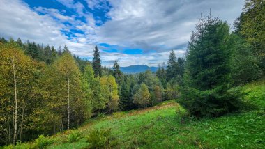Ağaçlar ve dağlarla dolu güzel sonbahar manzarası