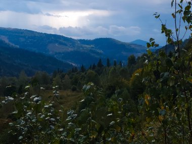 Dağlarda ormanı olan güzel bir sonbahar manzarası